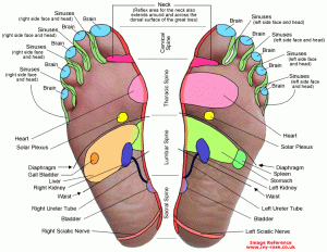 reflexology-feet-chart2